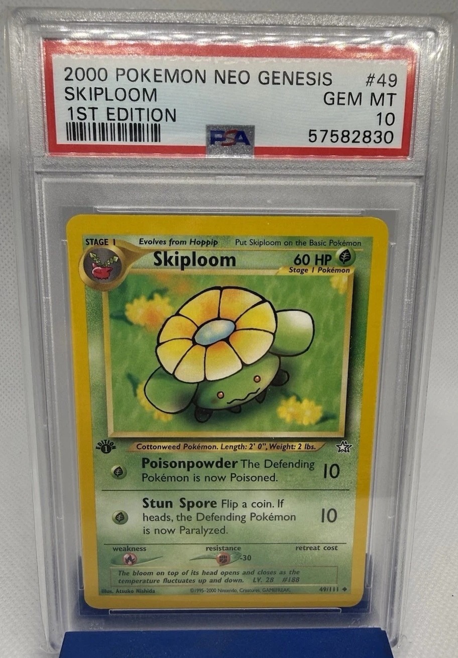 Skiploom