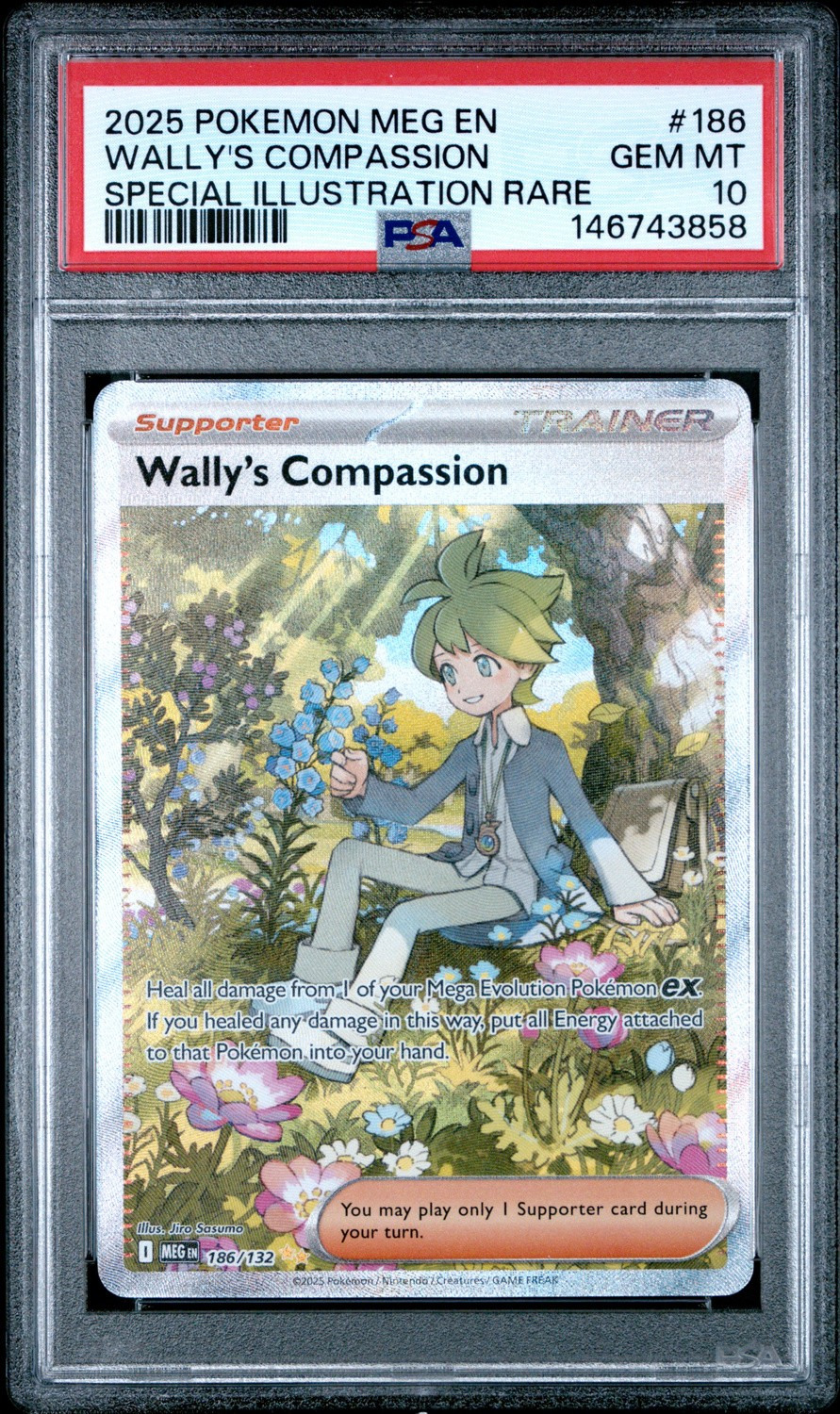 Wally's Compassion
