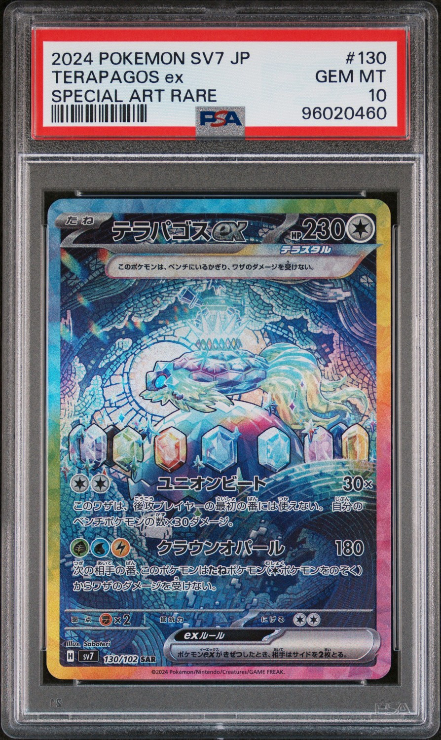 TERAPAGOS ex