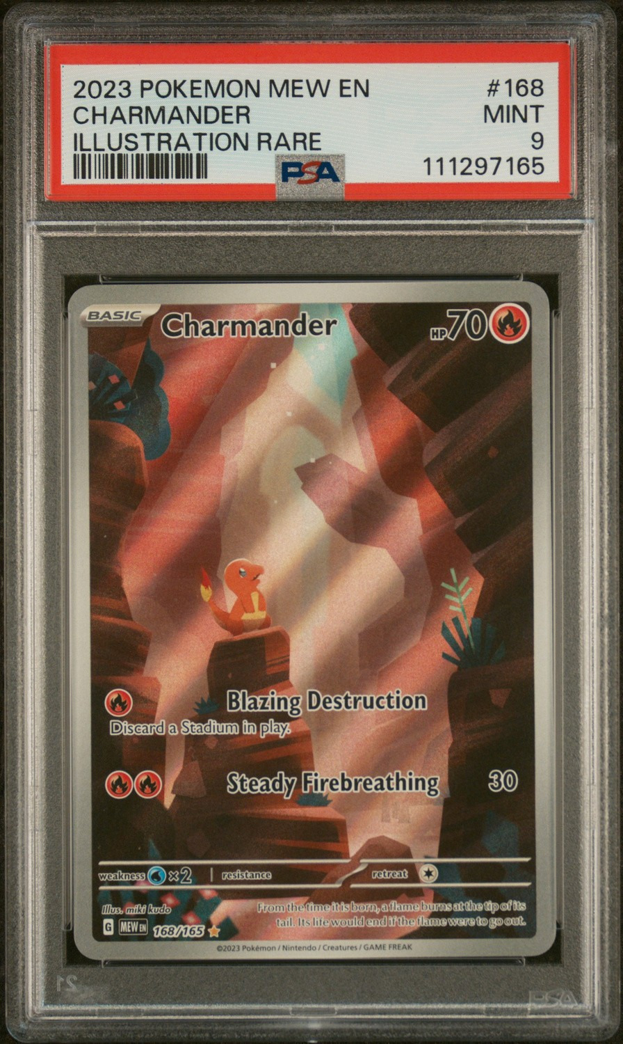 CHARMANDER