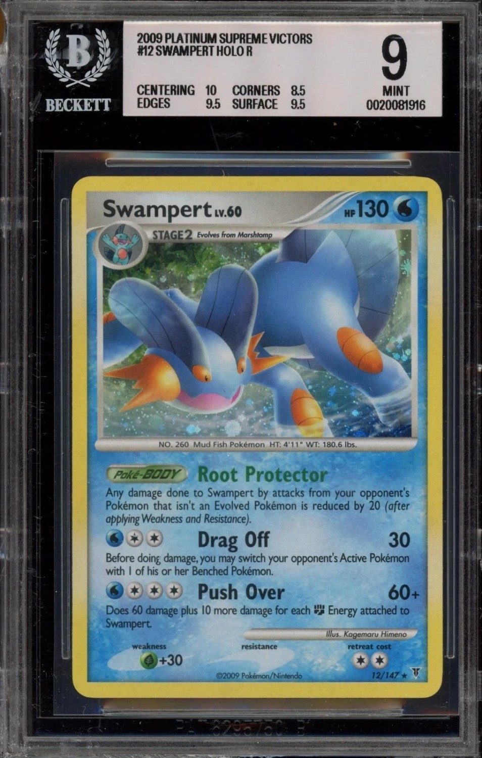 Swampert