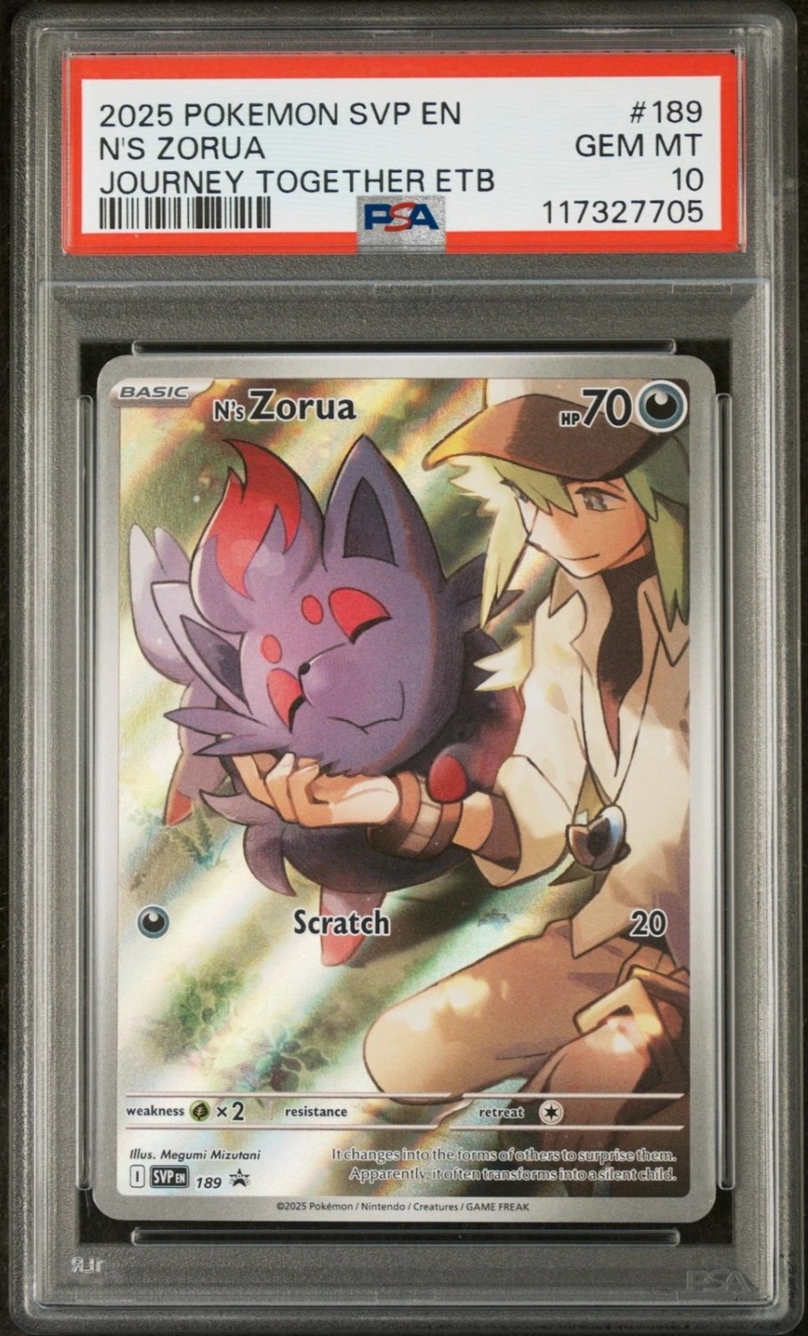 N'S ZORUA