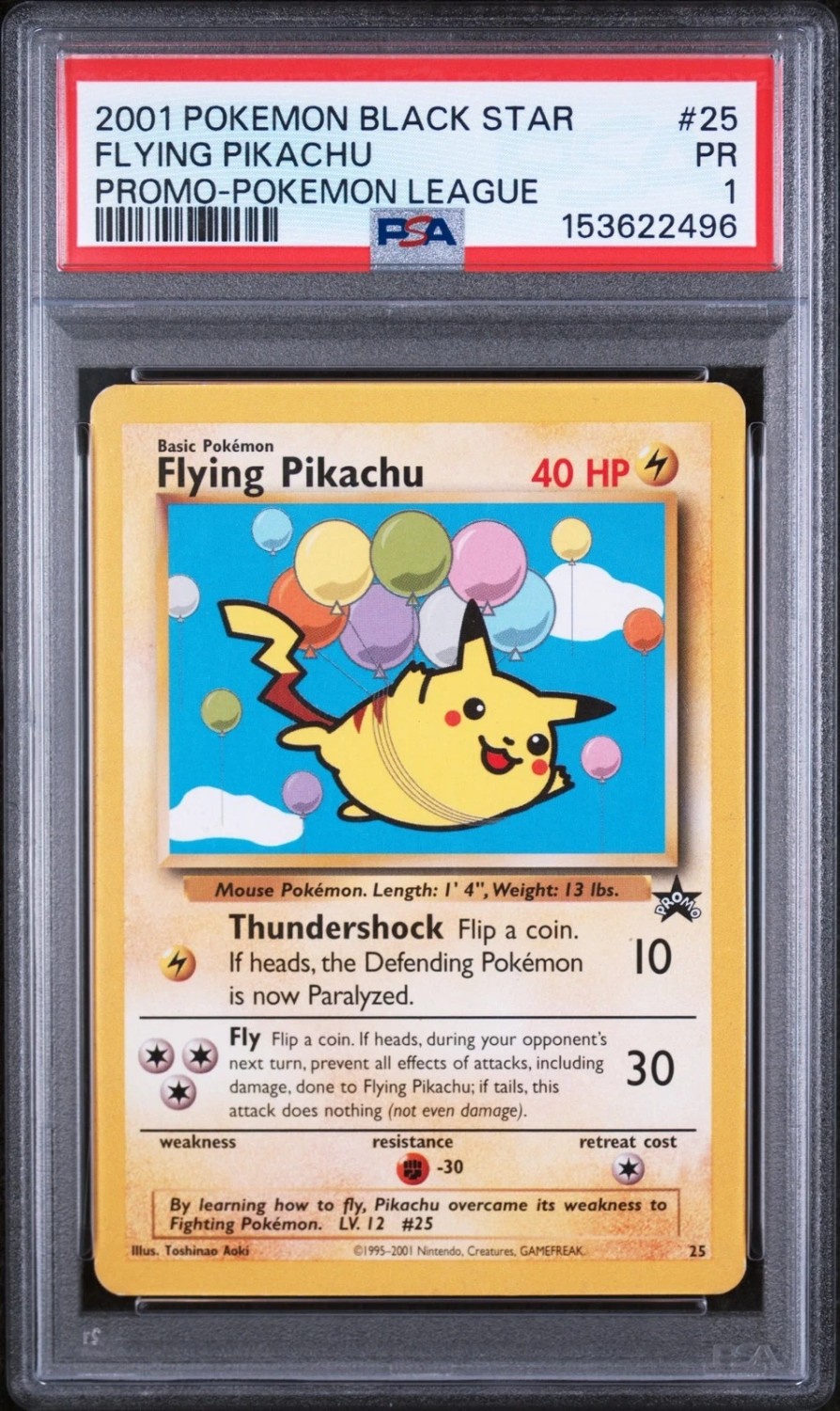 Flying Pikachu
