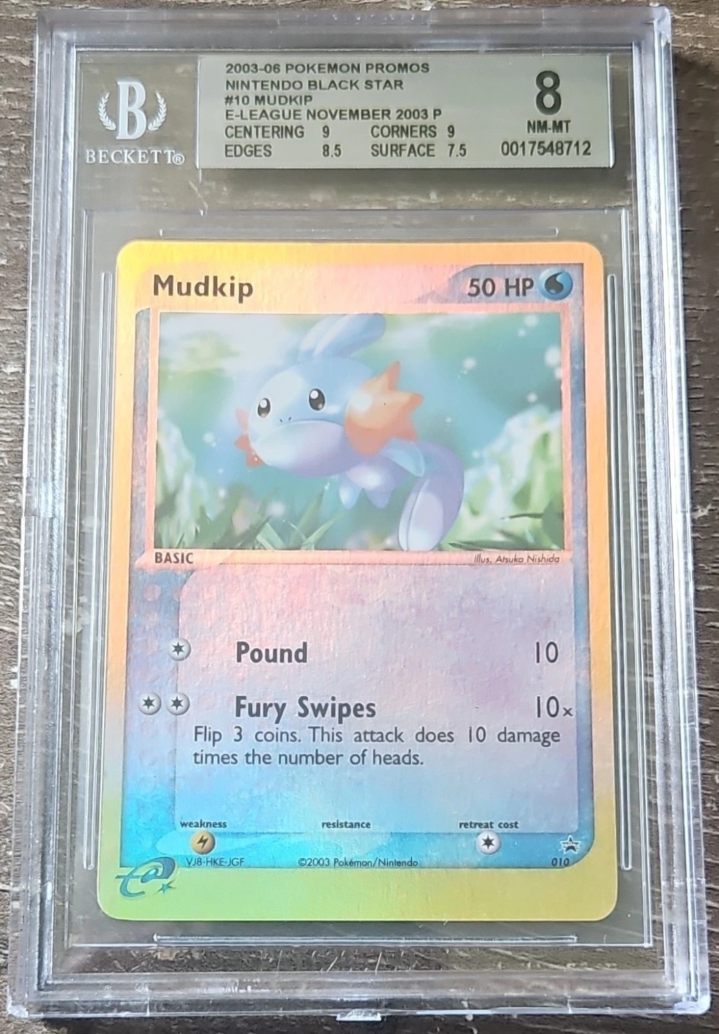 Mudkip