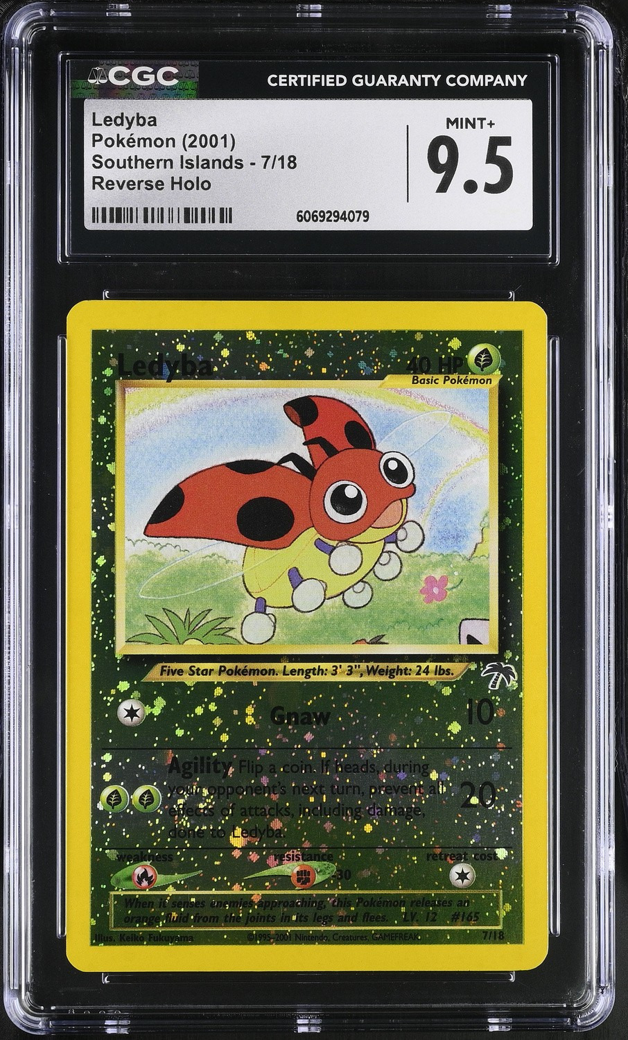 Ledyba