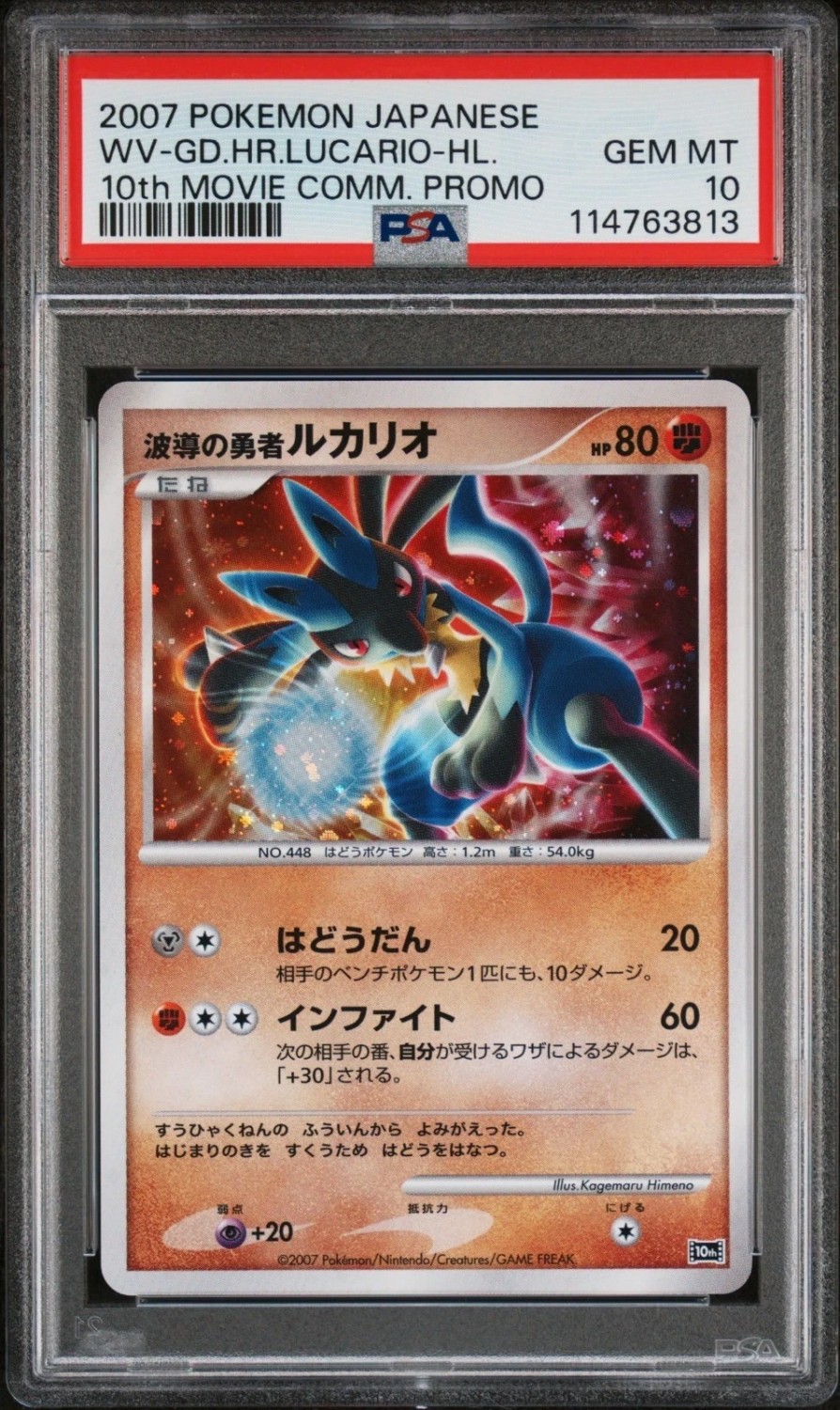 Wave-Guiding Hero Lucario
