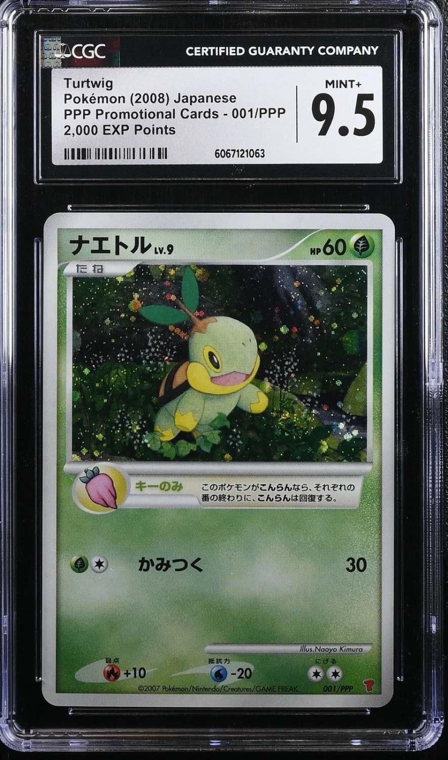 Turtwig