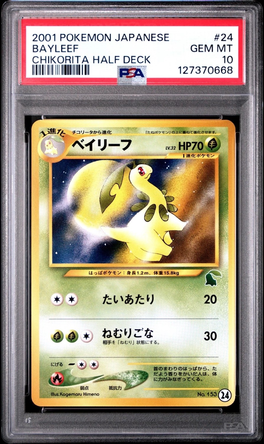 Bayleef