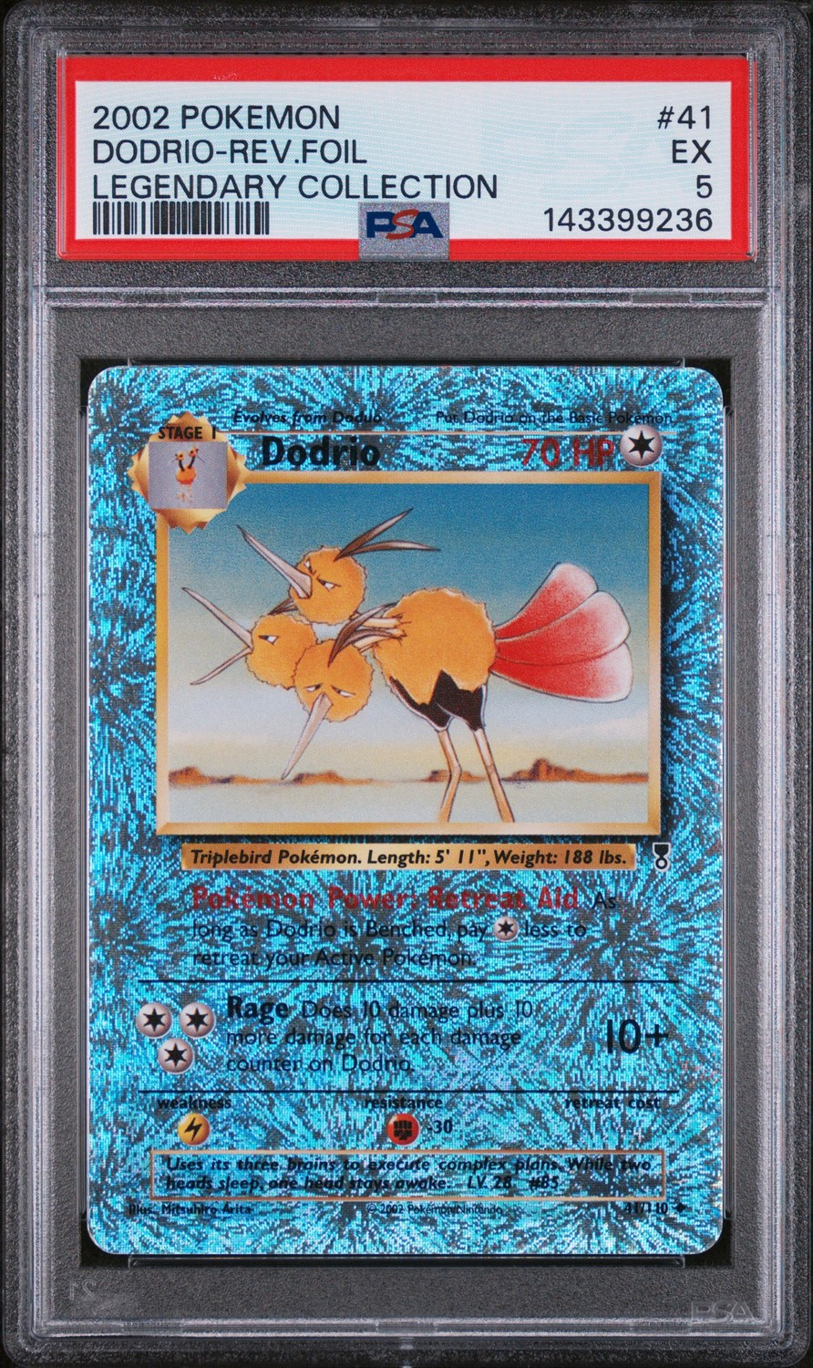 Dodrio