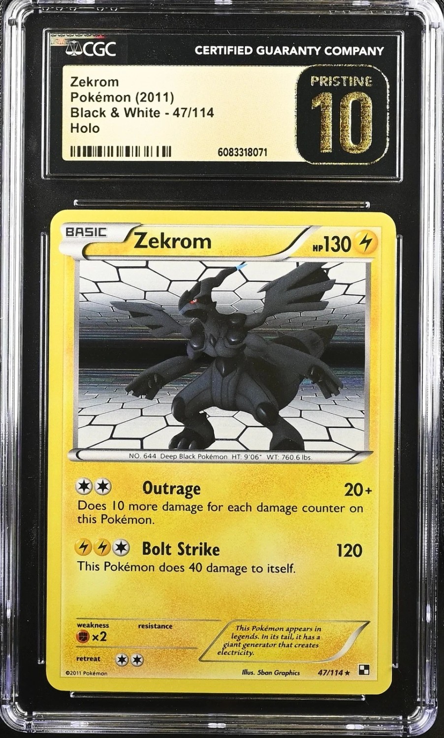 FA/ZEKROM