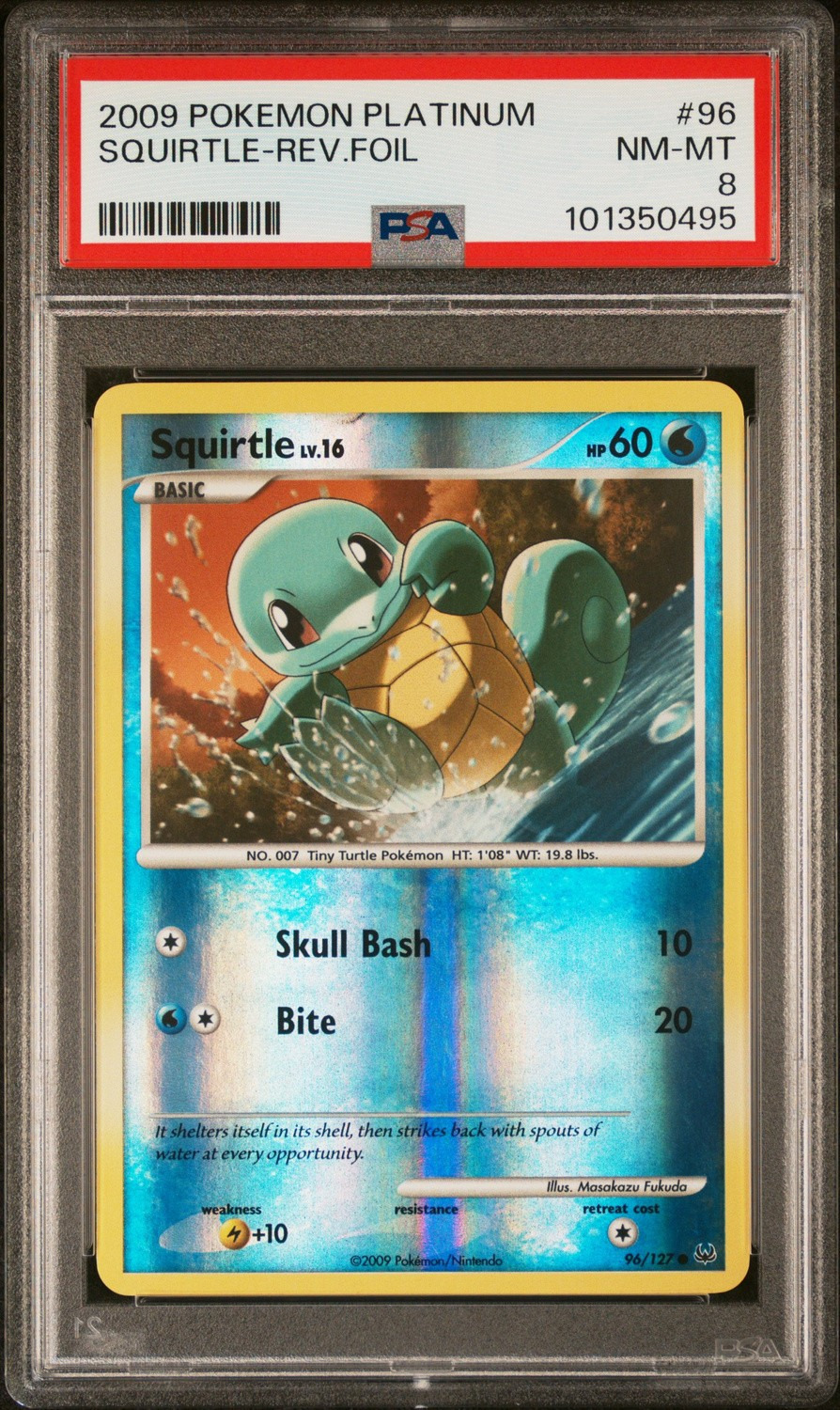 Squirtle