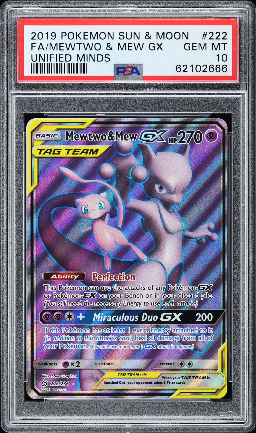 Mewtwo & Mew GX