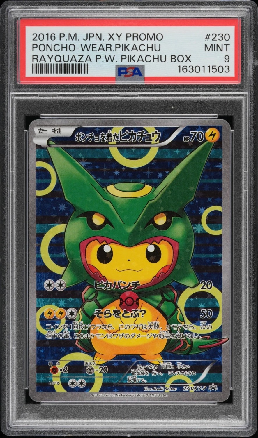 Poncho-Wearing Pikachu