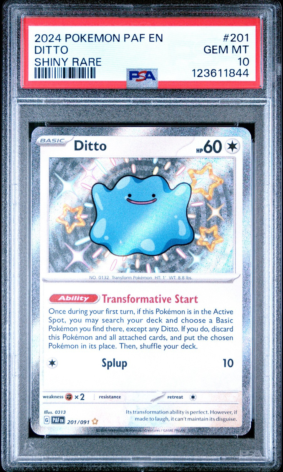 Ditto