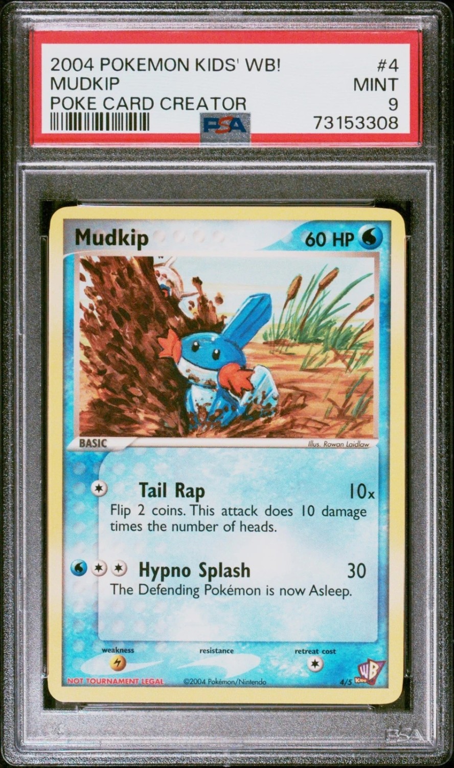 Mudkip