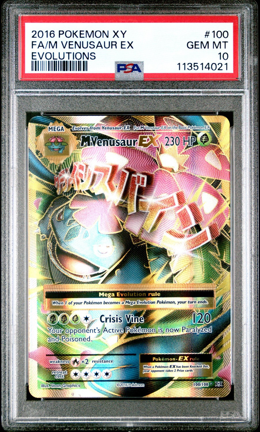 M Venusaur EX