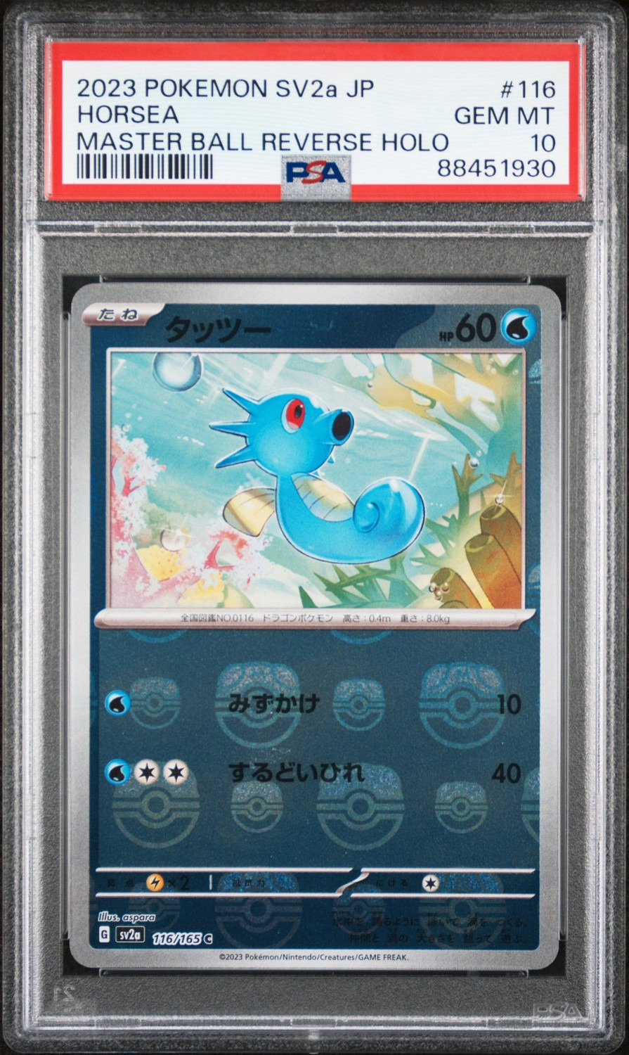 Horsea