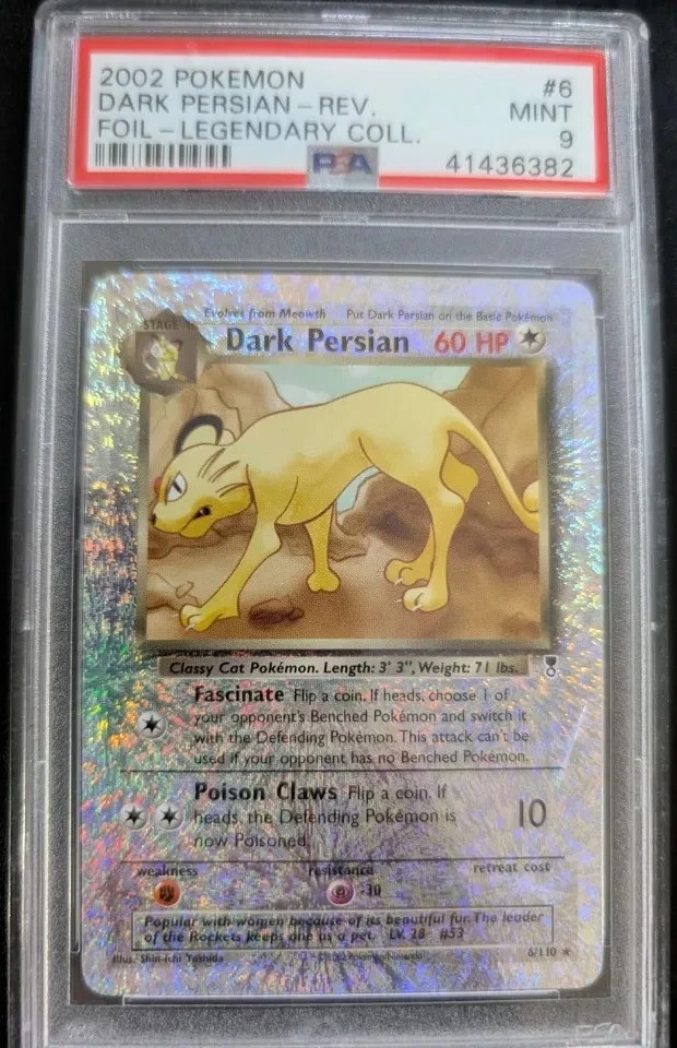 Dark Persian