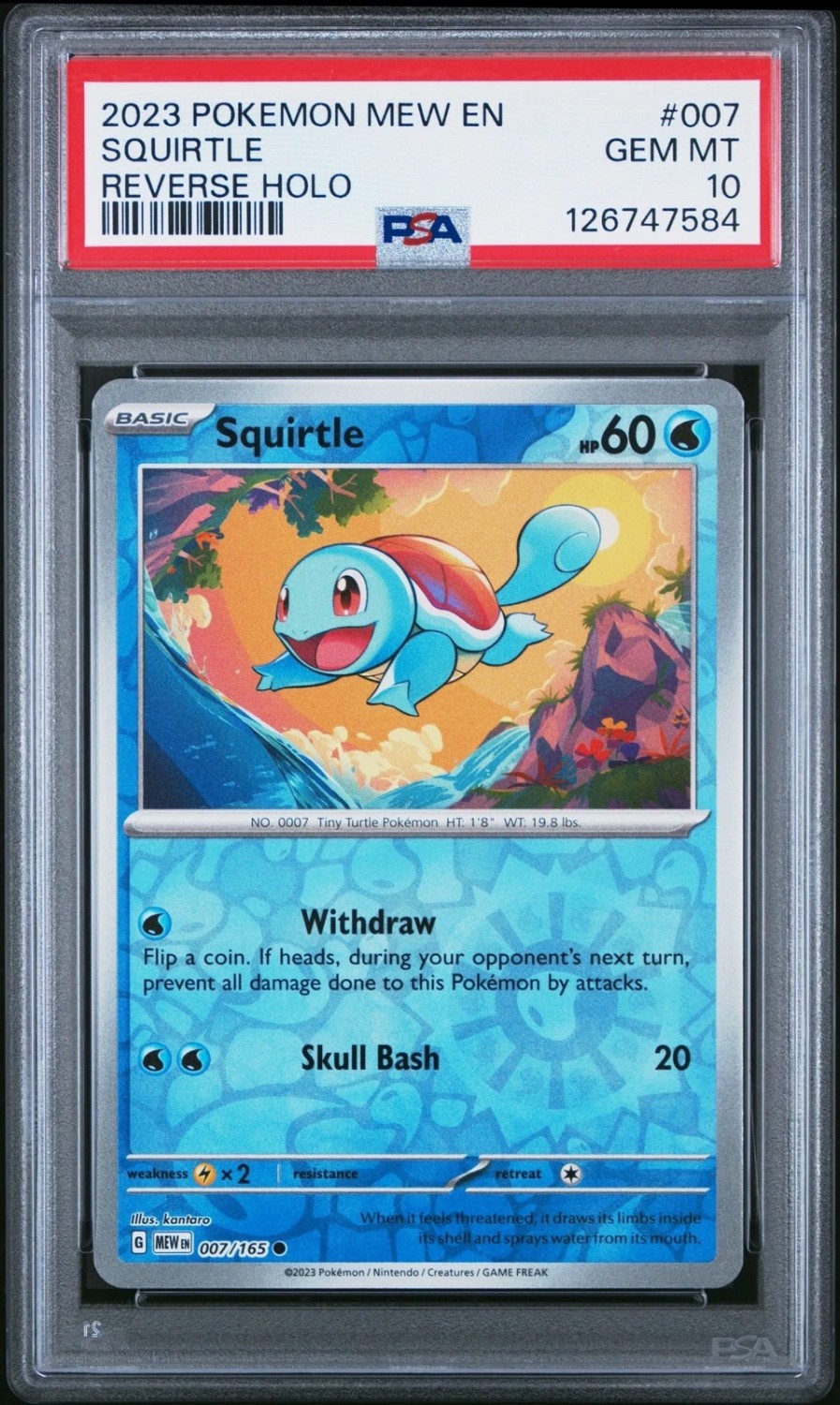 SQUIRTLE