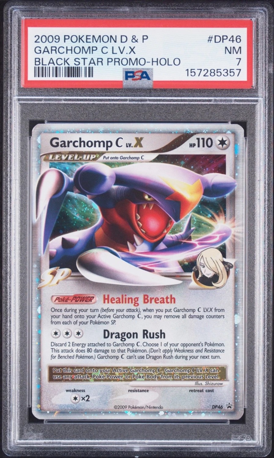 GARCHOMP C LV.X