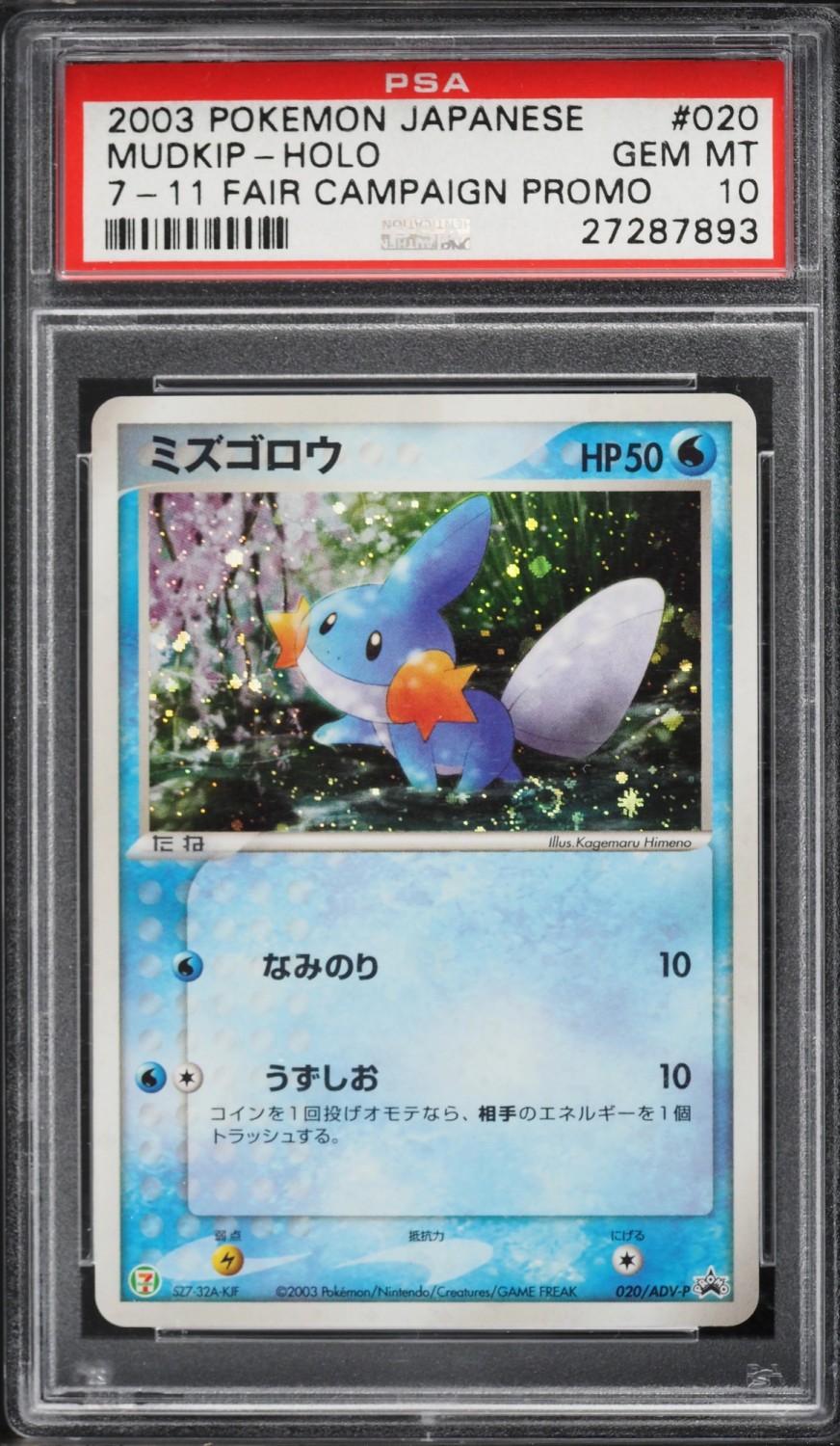 Mudkip