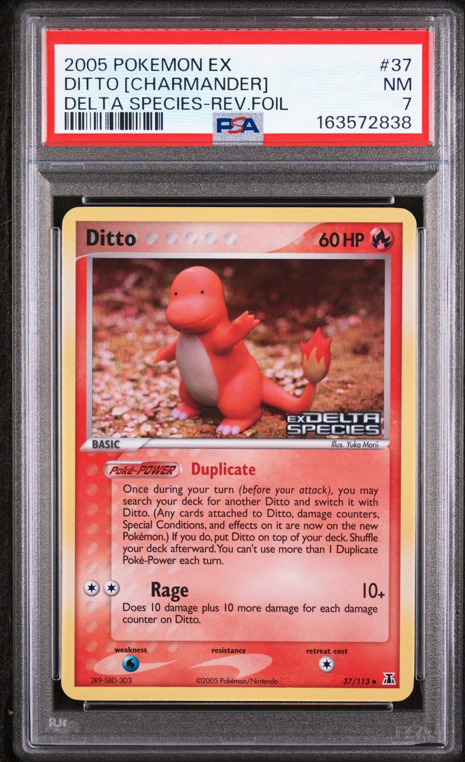 Ditto [Charmander]