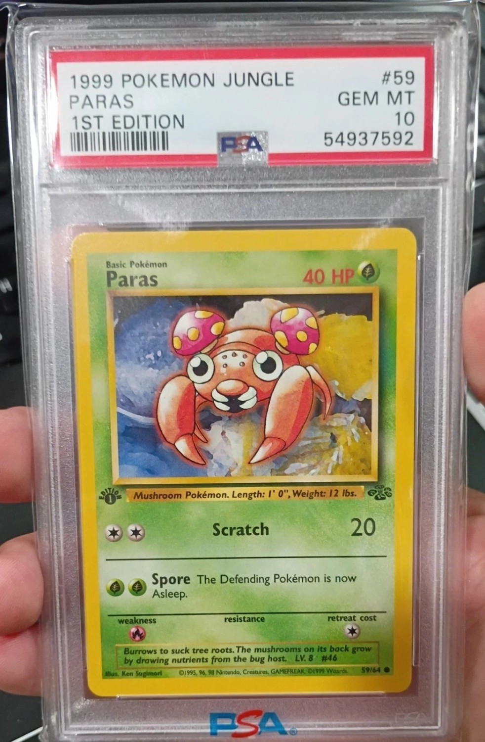 Paras