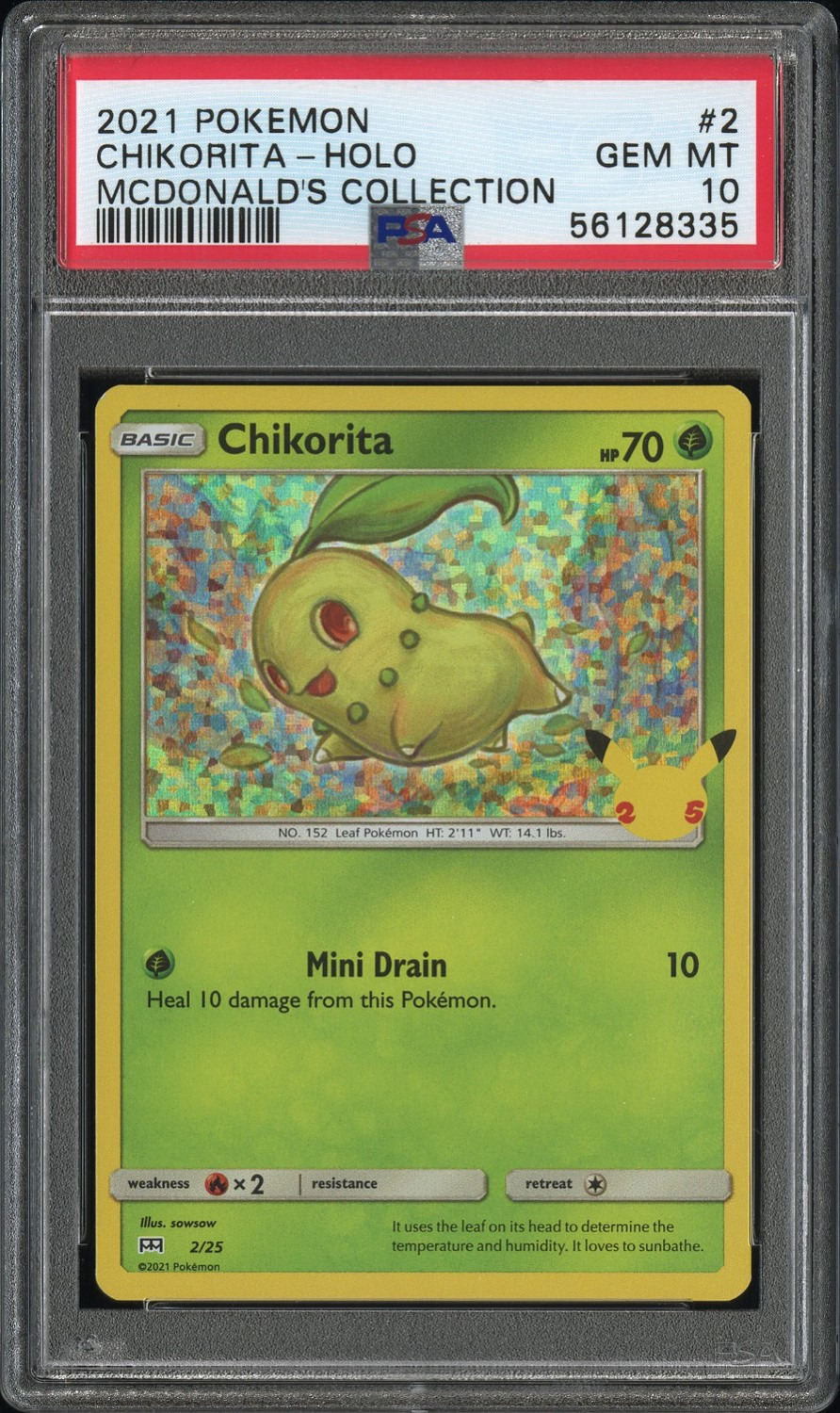 Chikorita