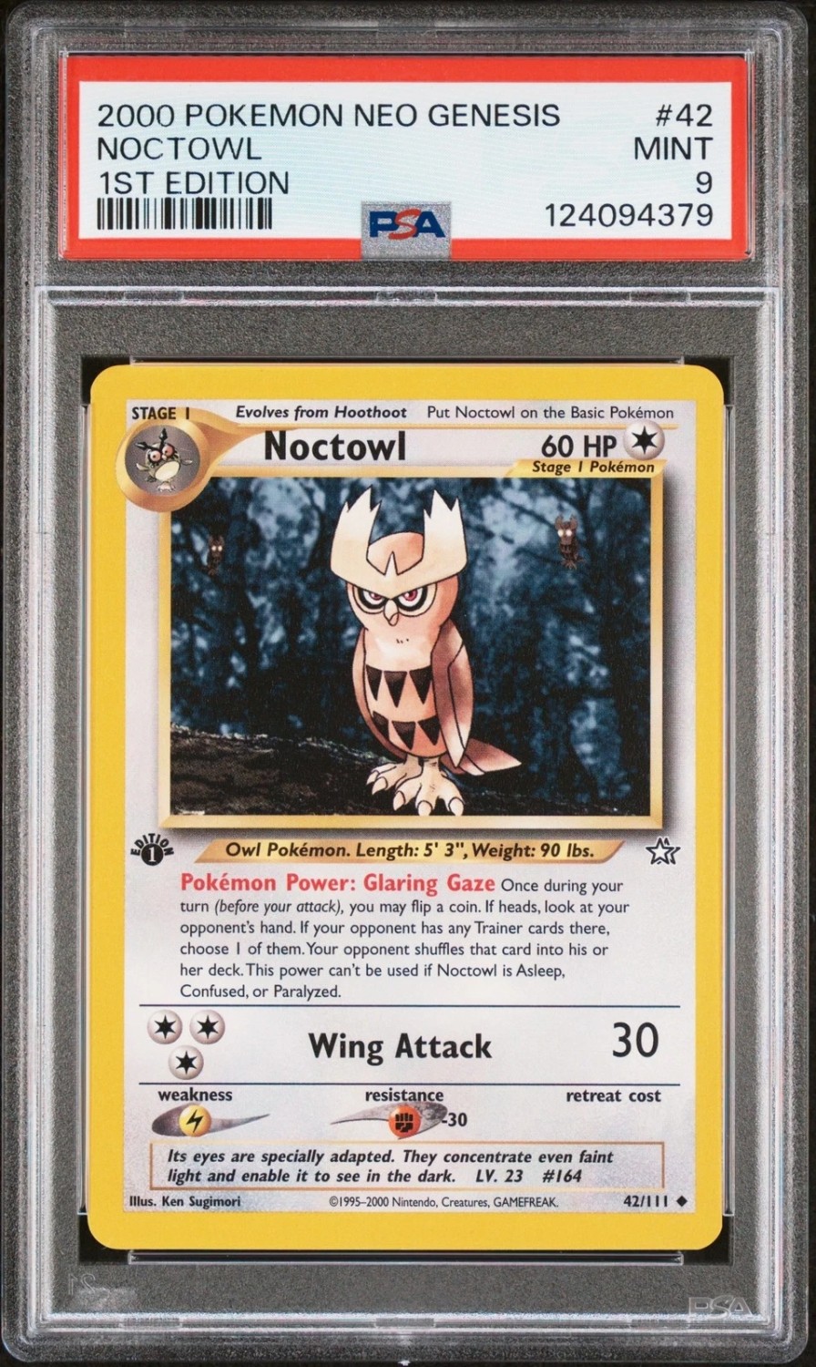 Noctowl