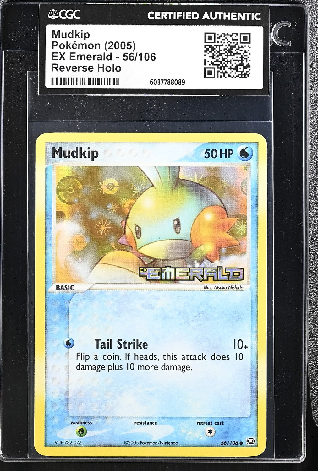 Mudkip