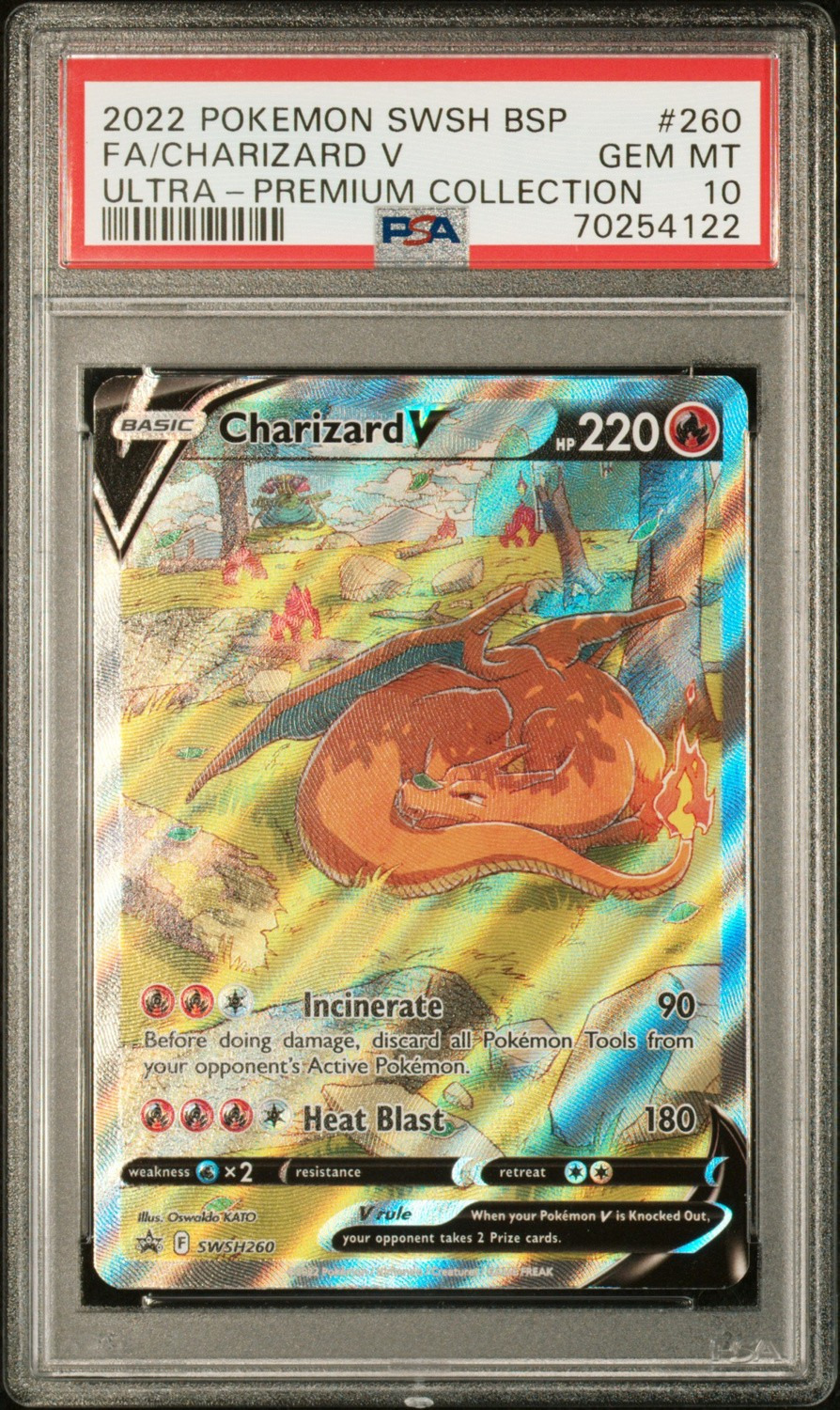Charizard V