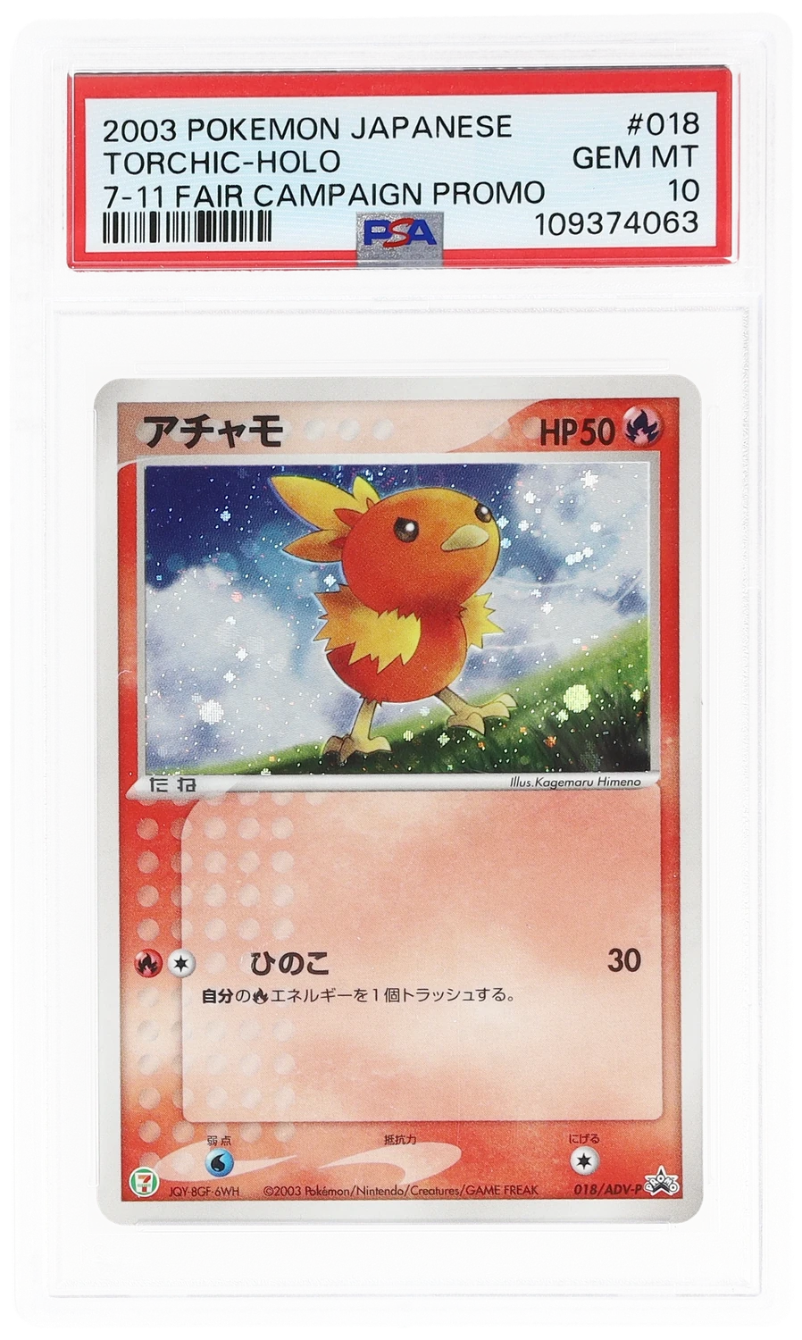 Torchic