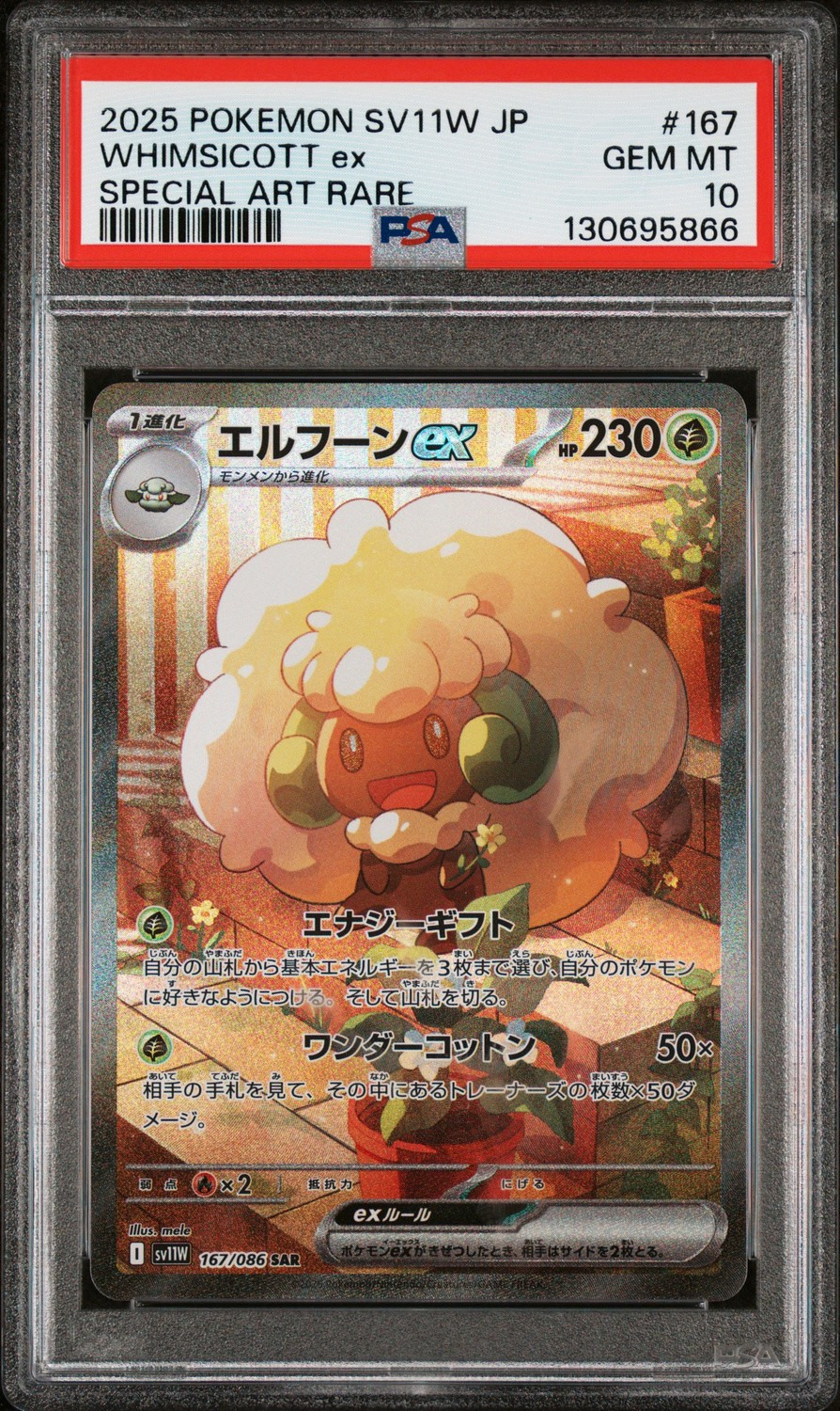 WHIMSICOTT ex