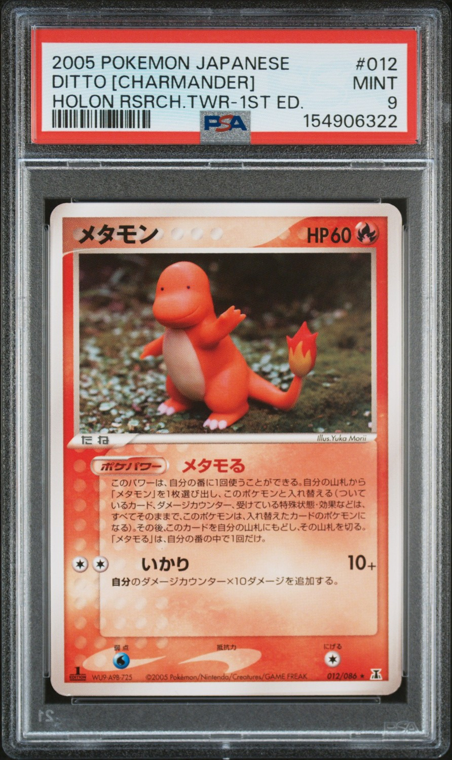 Ditto [Charmander]