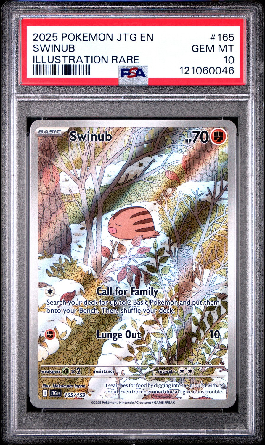 Swinub