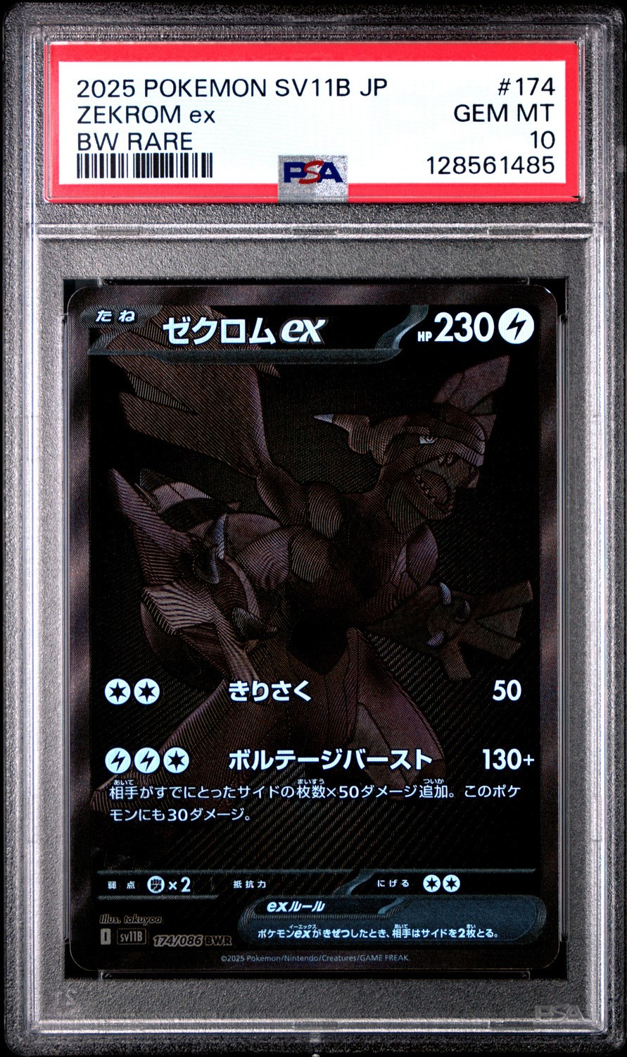 ZEKROM ex