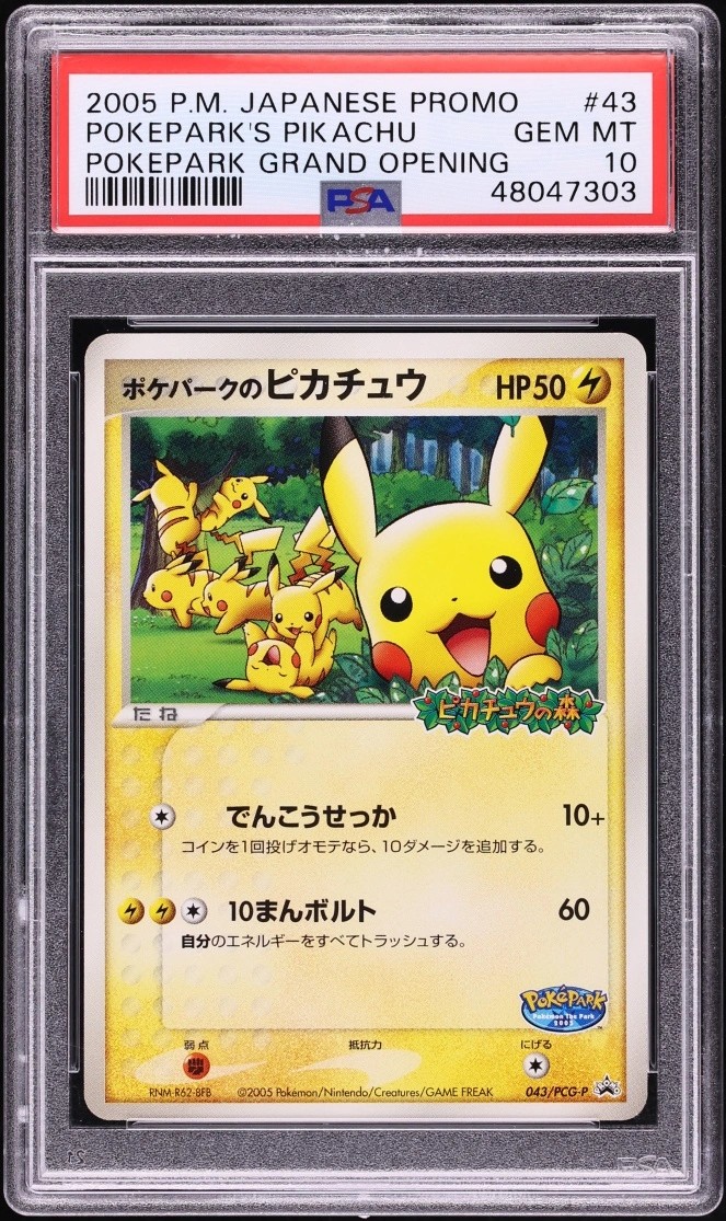 PokePark's Pikachu