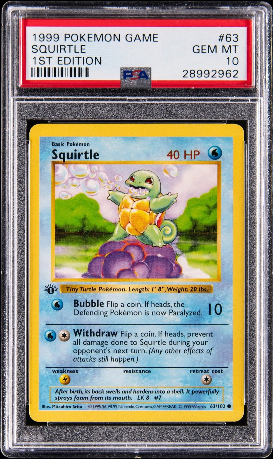 Squirtle