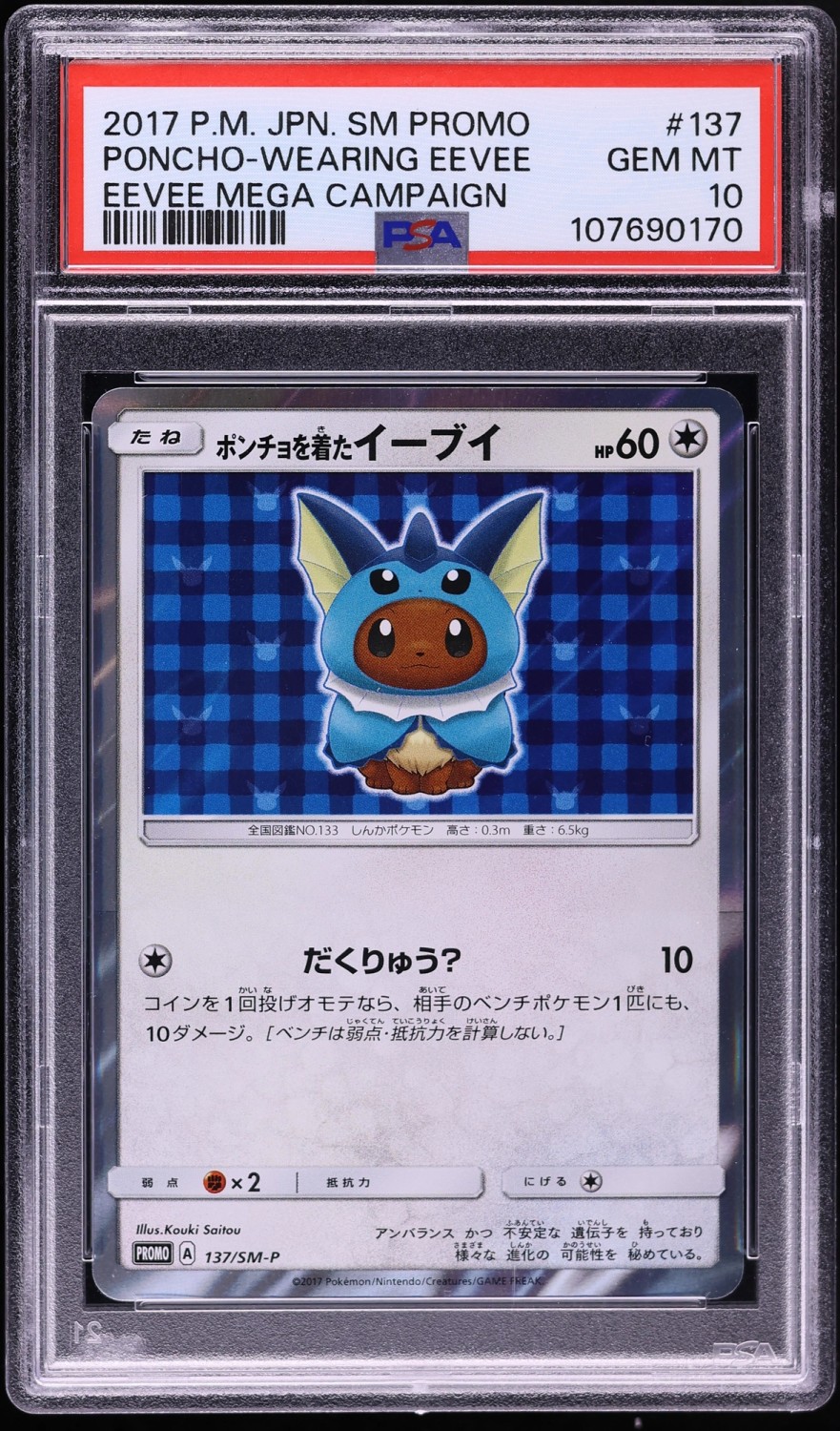 Poncho-wearing Eevee