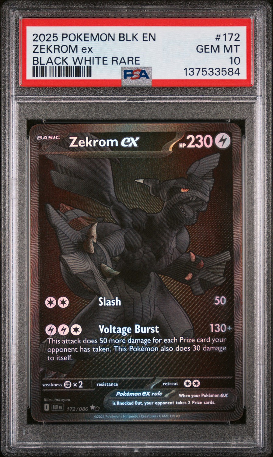 ZEKROM ex