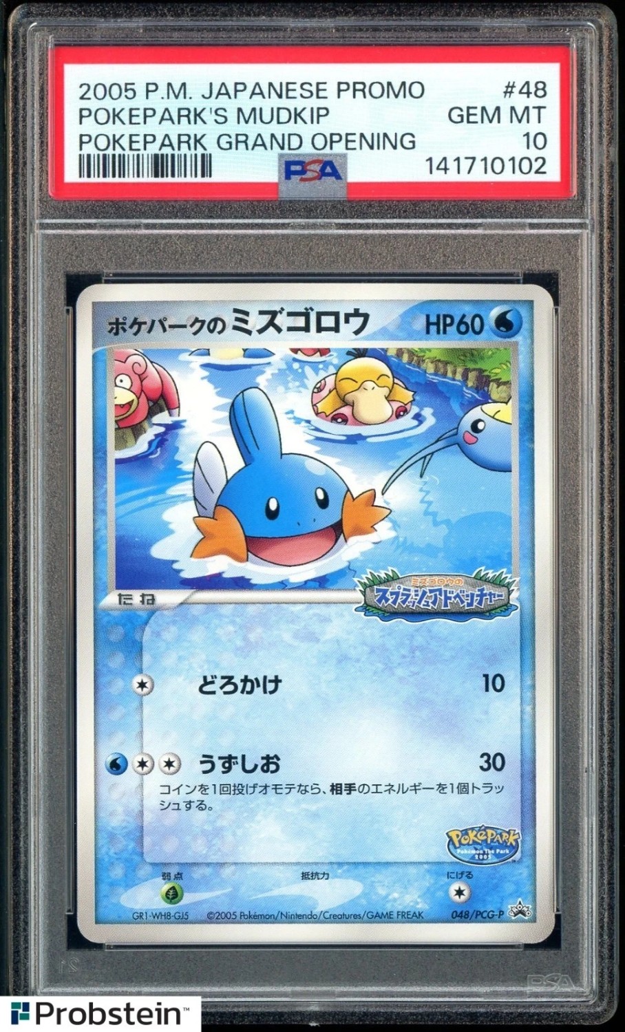 Pokepark's Mudkip