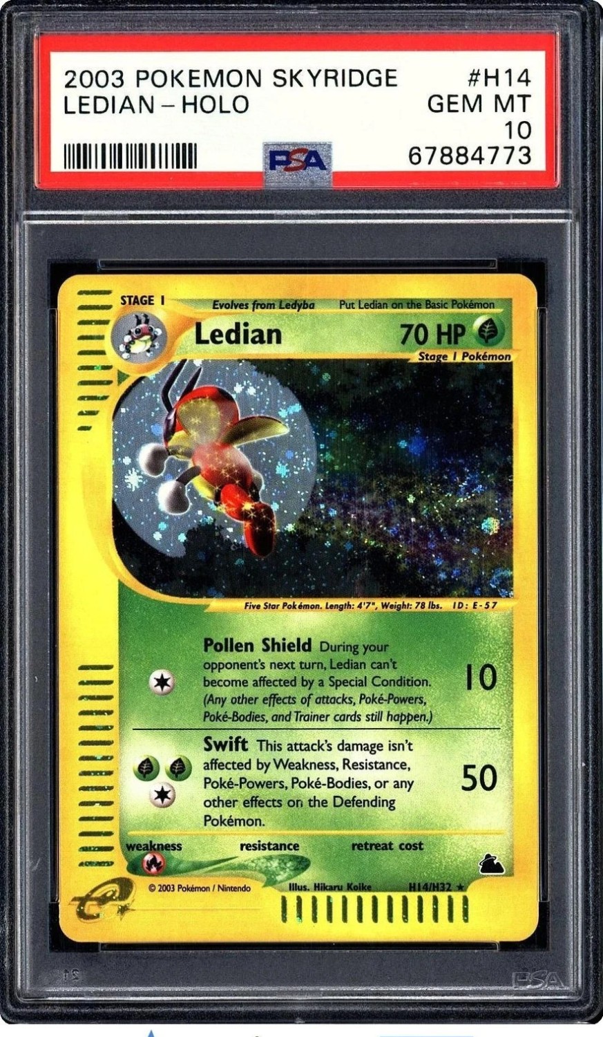 Ledian