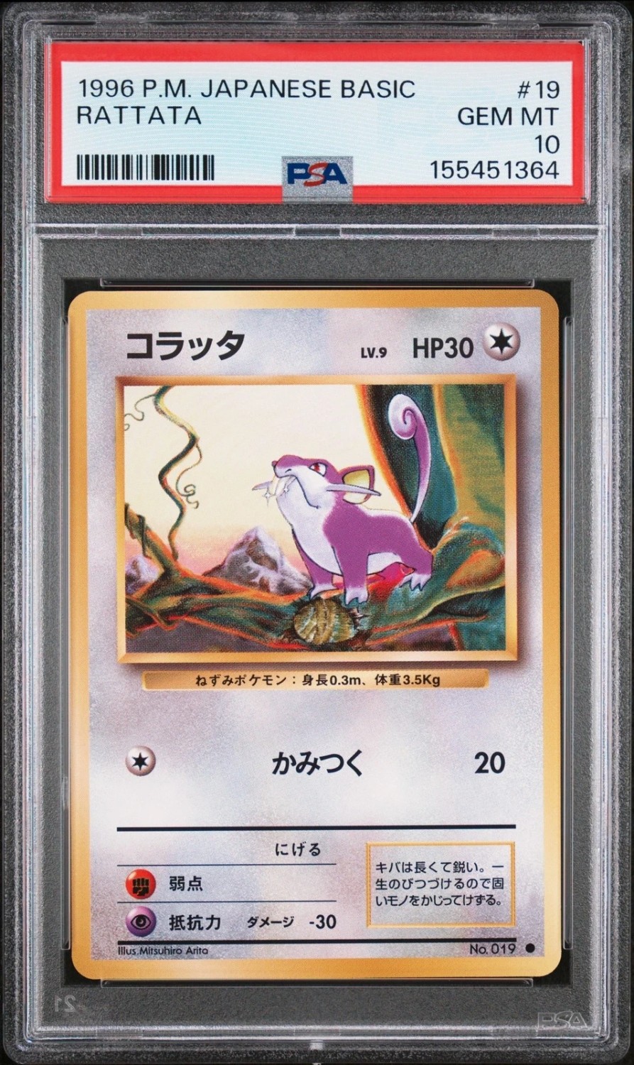 Rattata