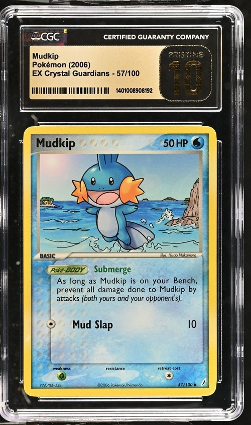 Mudkip