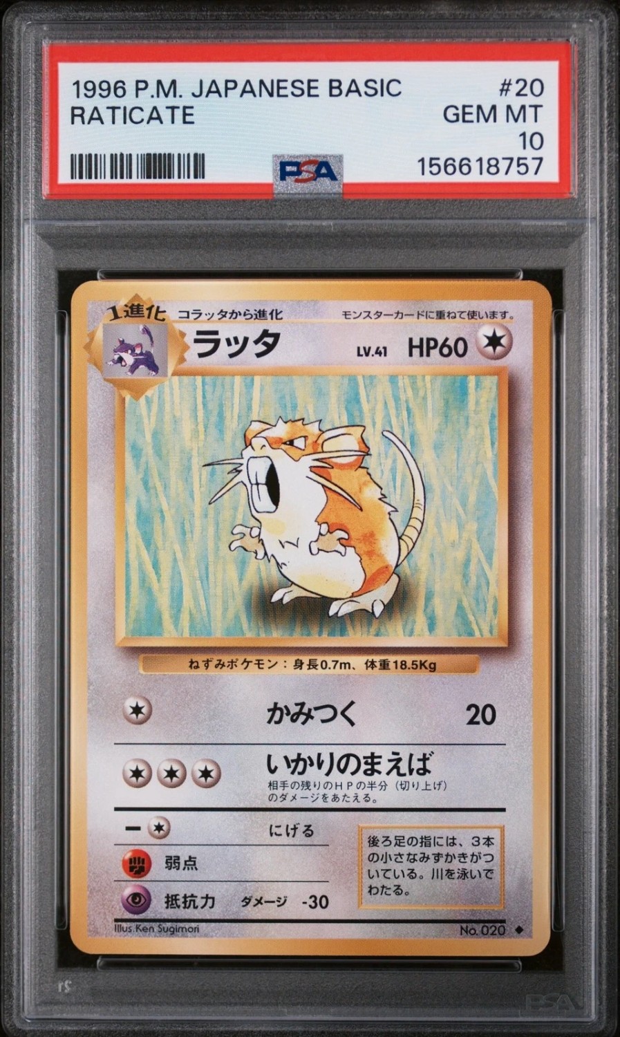 Raticate