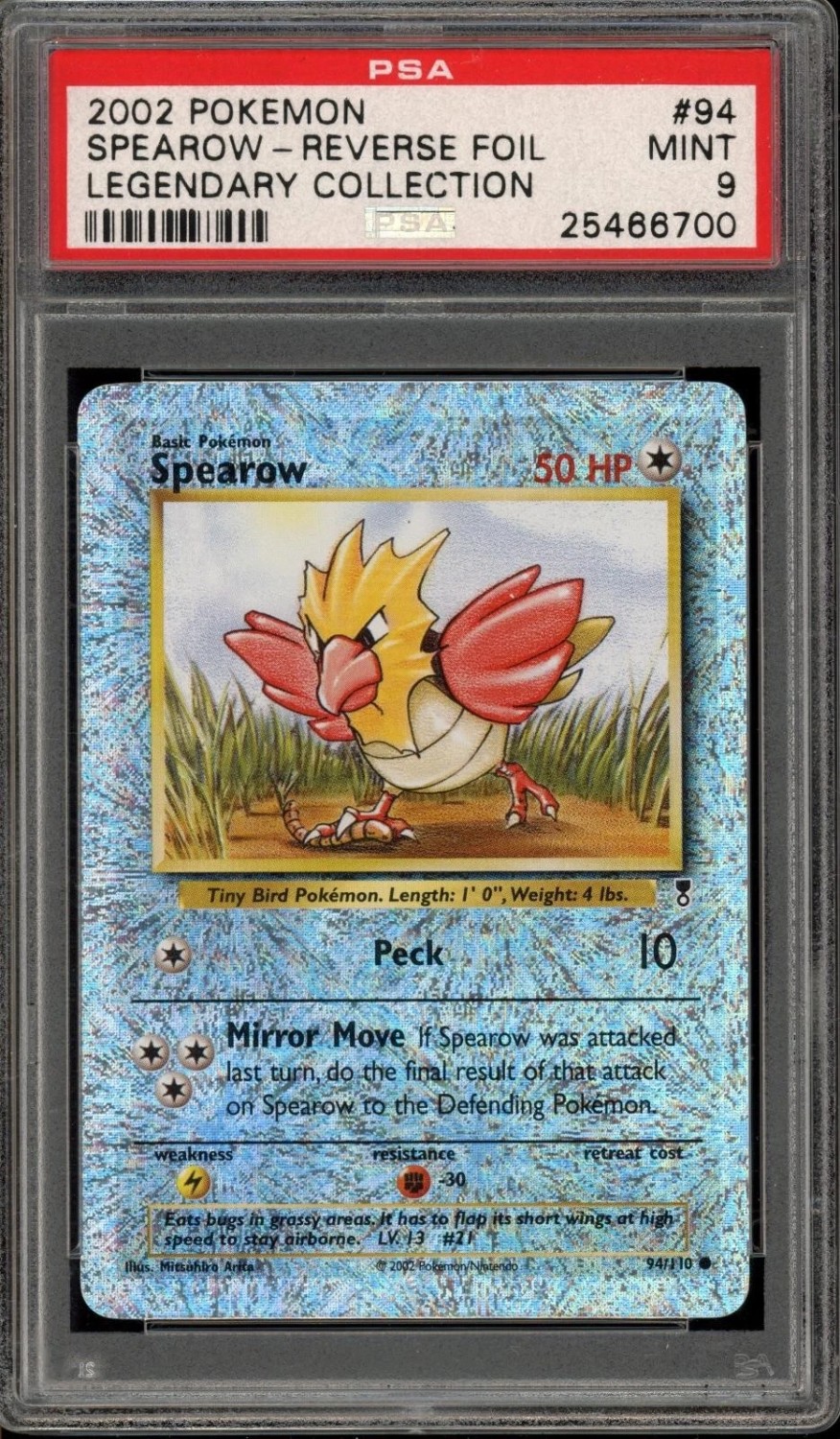 Spearow