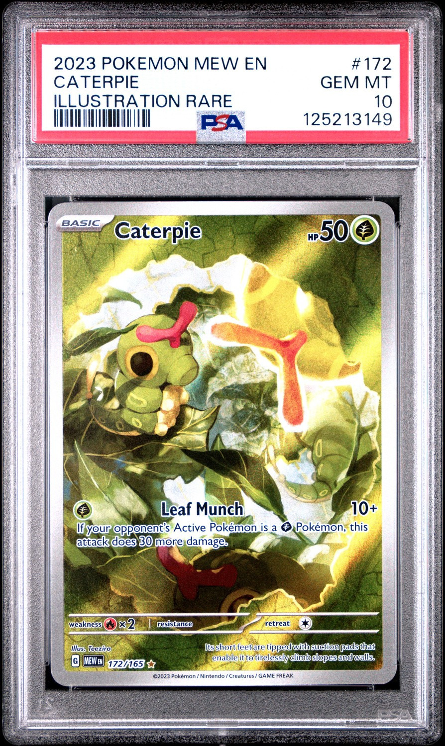 Caterpie