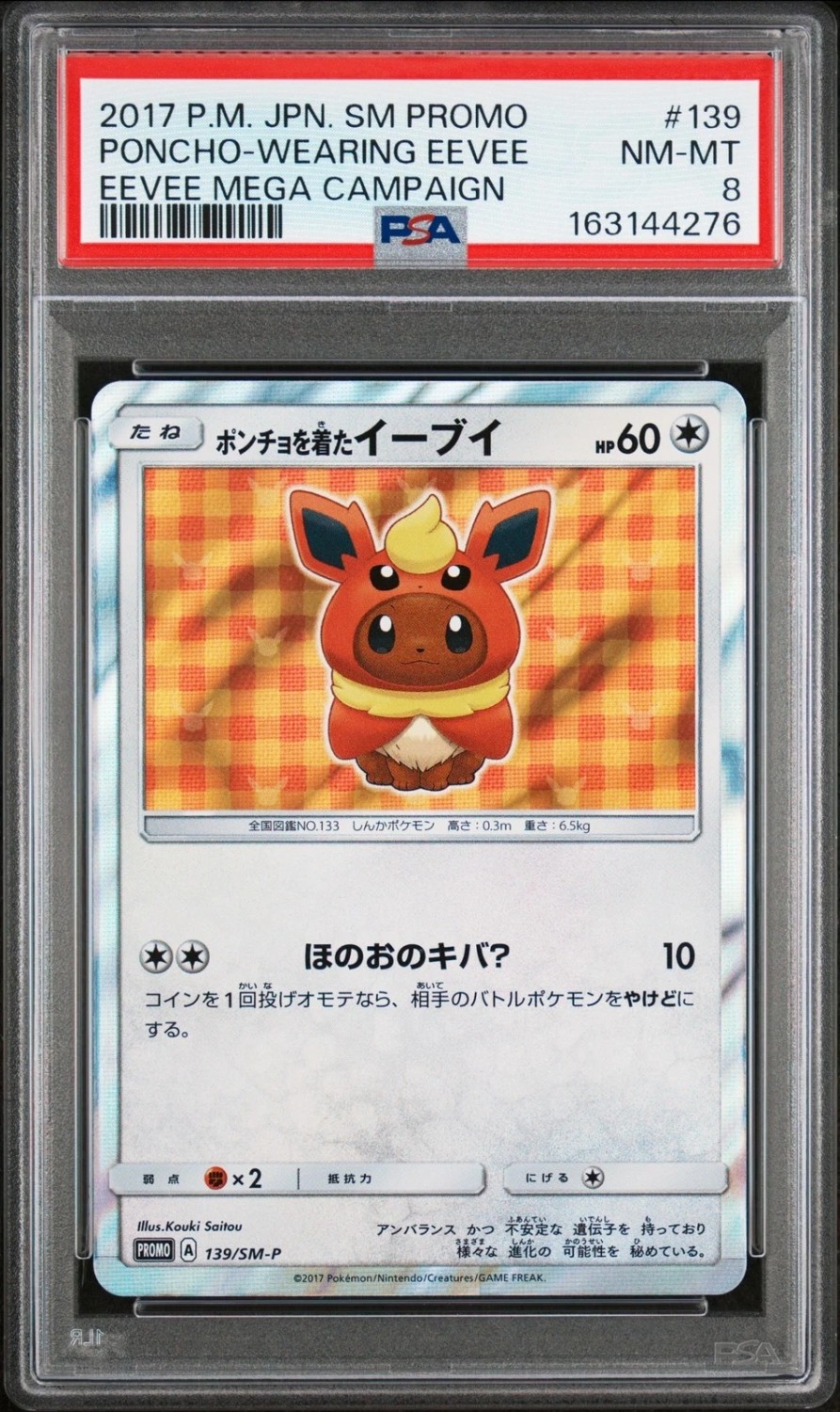 Poncho-Wearing Eevee