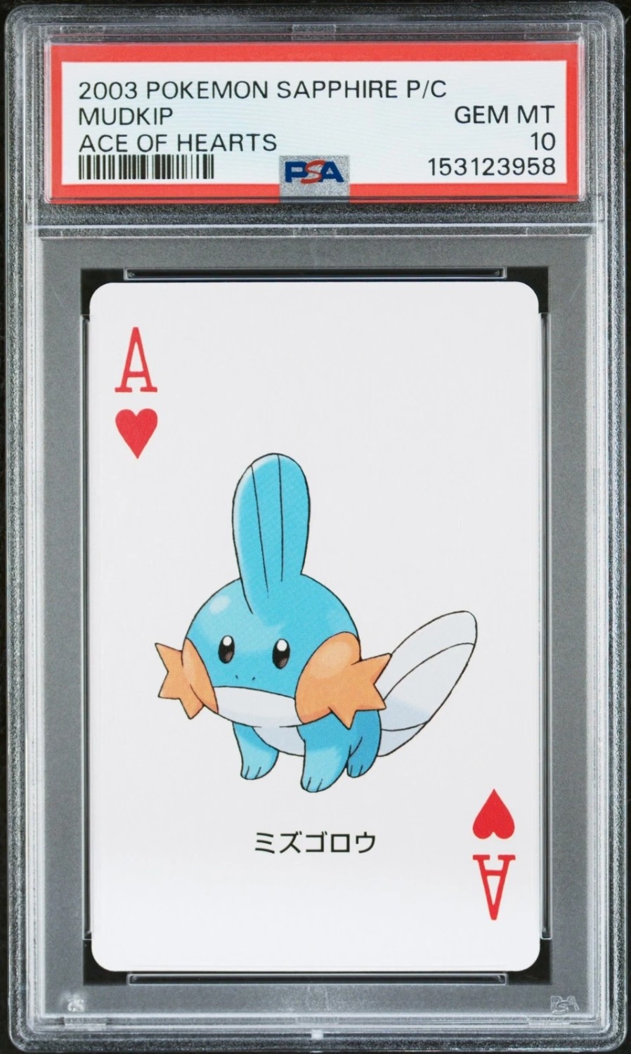 Mudkip