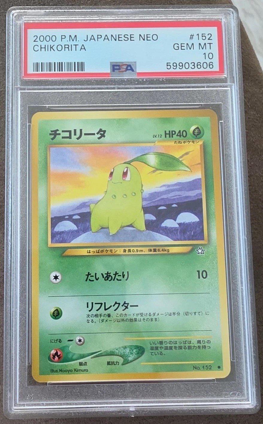 Chikorita